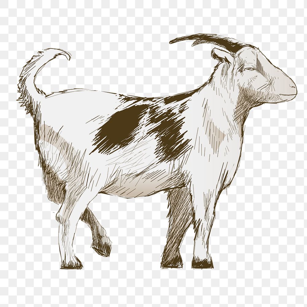 Png goat  animal illustration, transparent background