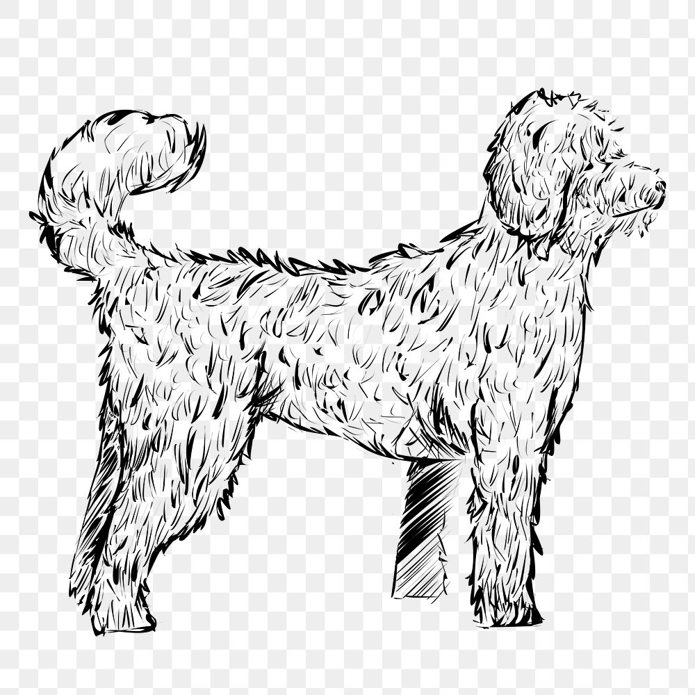 Png furry dog  animal illustration, transparent background