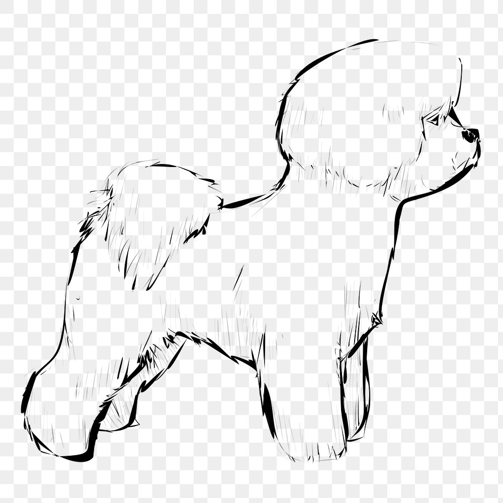 Png Bichon Frise dog  animal illustration, transparent background