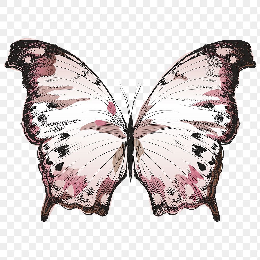 Png Pastel butterfly  animal illustration, transparent background