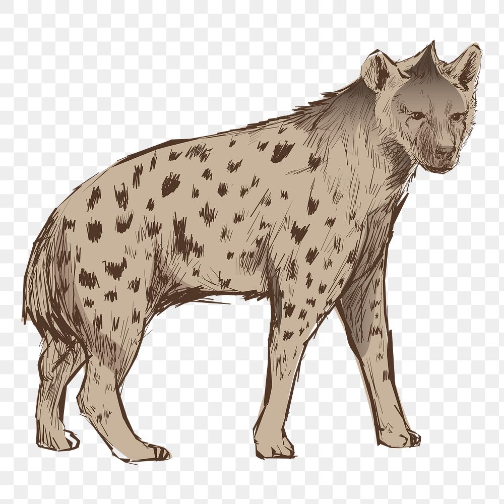 Png hyena walking  animal illustration, transparent background