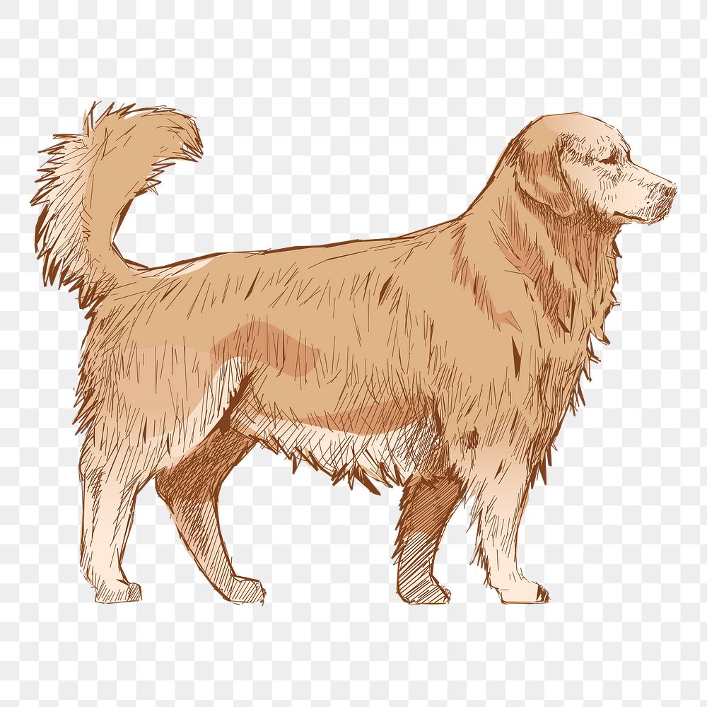 Png Golden Retriever dog  animal illustration, transparent background