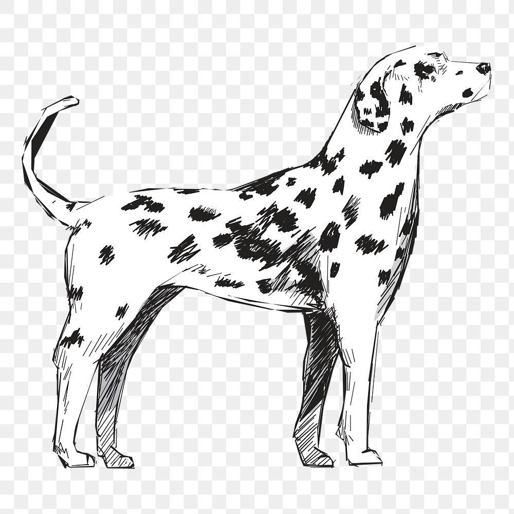 Png Dalmatian dog  animal illustration, transparent background