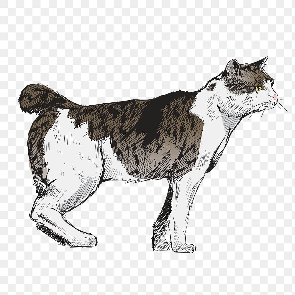 Png Japanese Bobtail cat  animal illustration, transparent background
