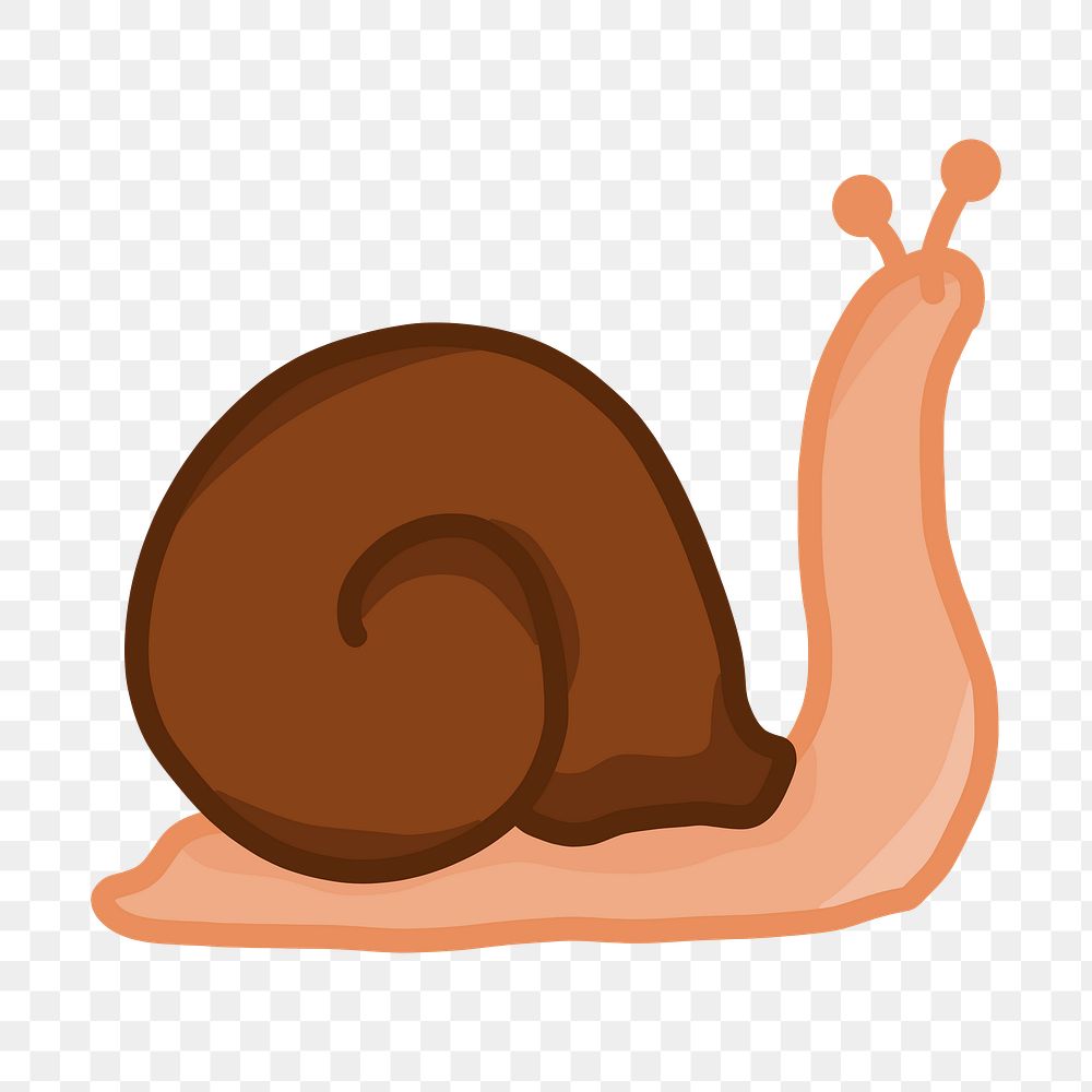 Snail png illustration, transparent background. Free public domain CC0 image.