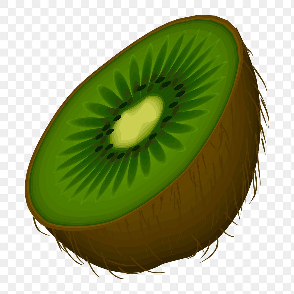 Half kiwi png illustration, transparent background. Free public domain CC0 image.