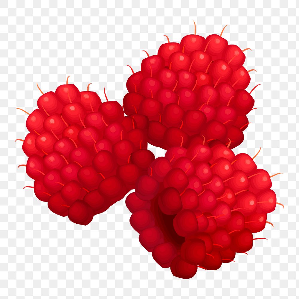 Raspberry png illustration, transparent background. Free public domain CC0 image.