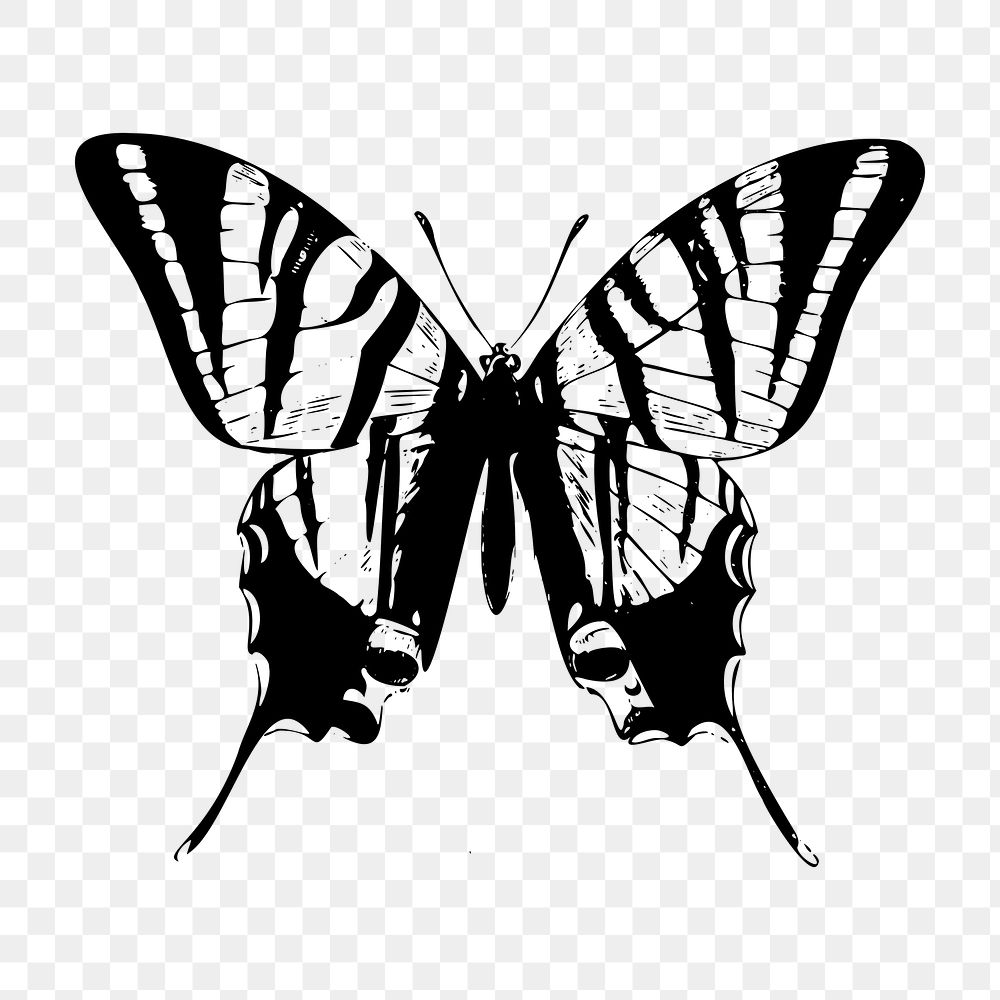 Butterfly png illustration, transparent background. Free public domain CC0 image.