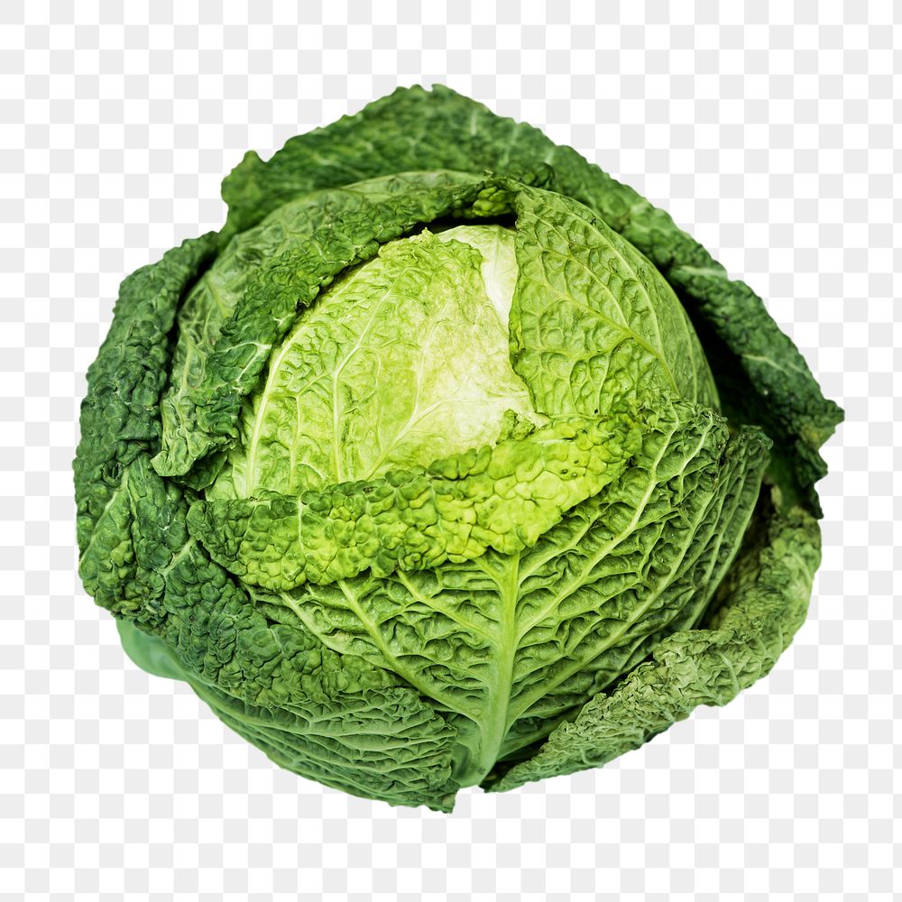 Green cabbage png sticker, transparent background