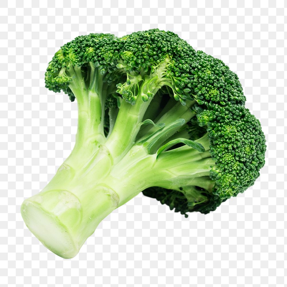 Broccoli vegetable png sticker, transparent background