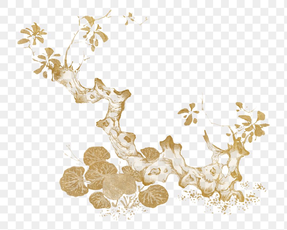 Vintage gold botanical element png on transparent background. Remixed by rawpixel.