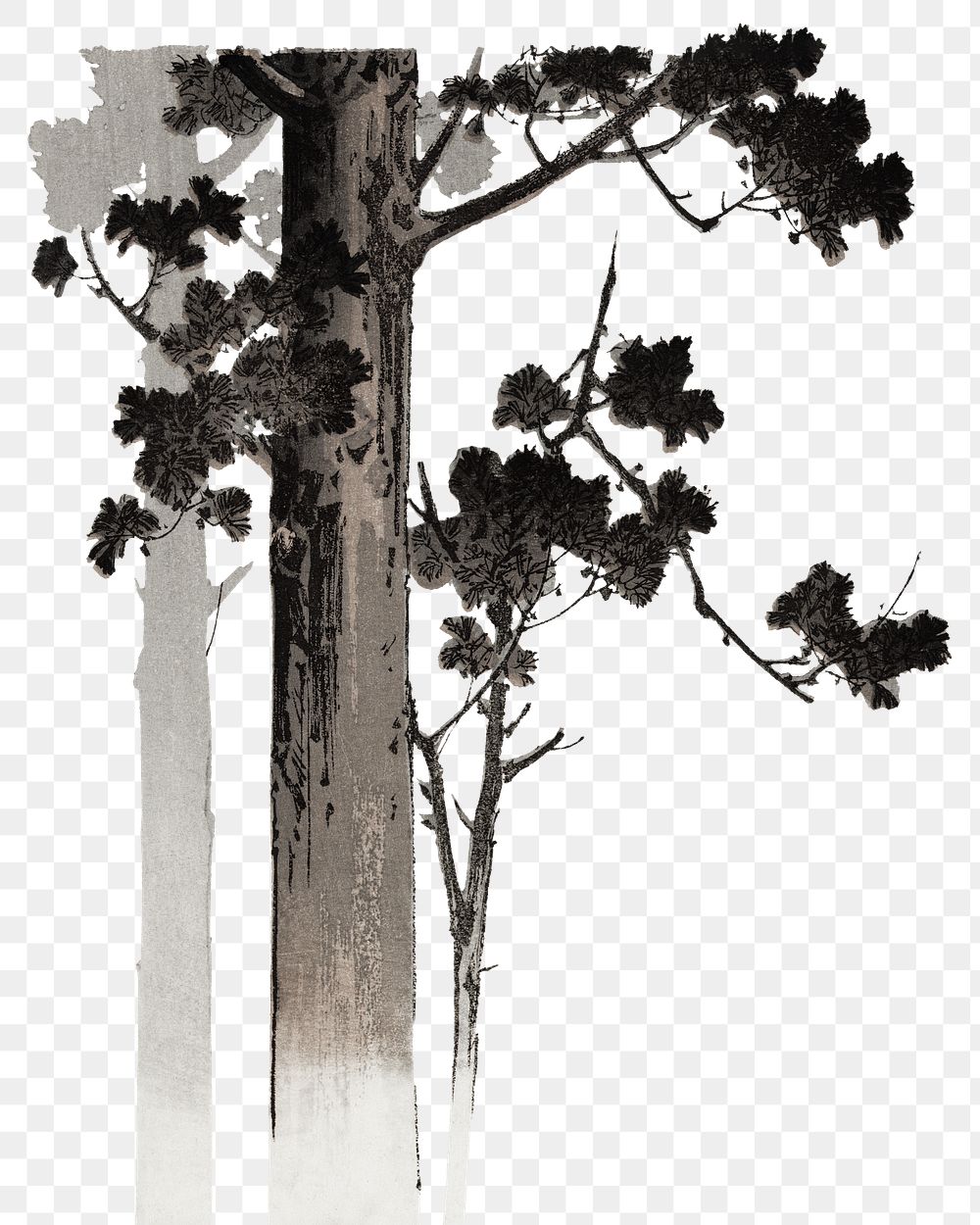 Trees png on transparent background.    Remastered by rawpixel. 