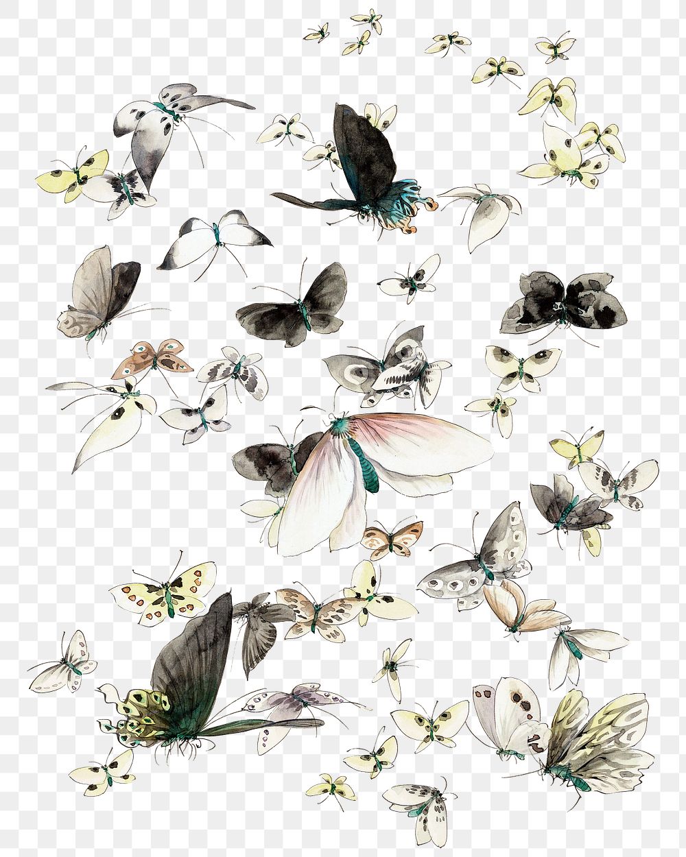 Hokusai’s Butterflies and Moths png on transparent background. Remastered by rawpixel. 