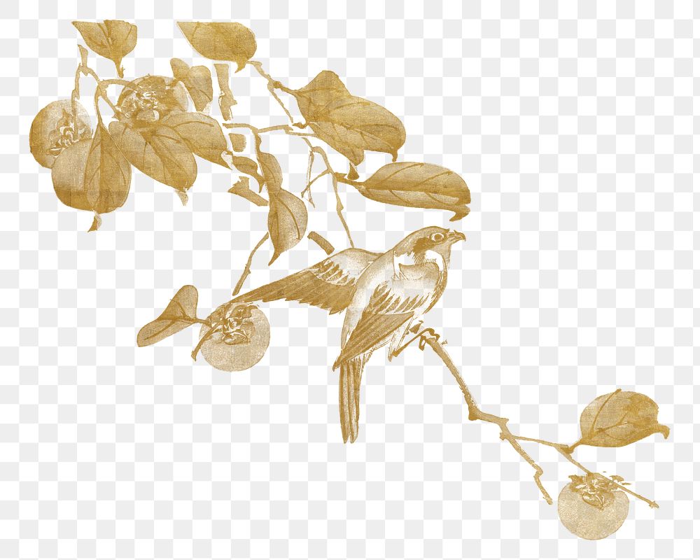Vintage gold bird png on transparent background. Remixed by rawpixel.