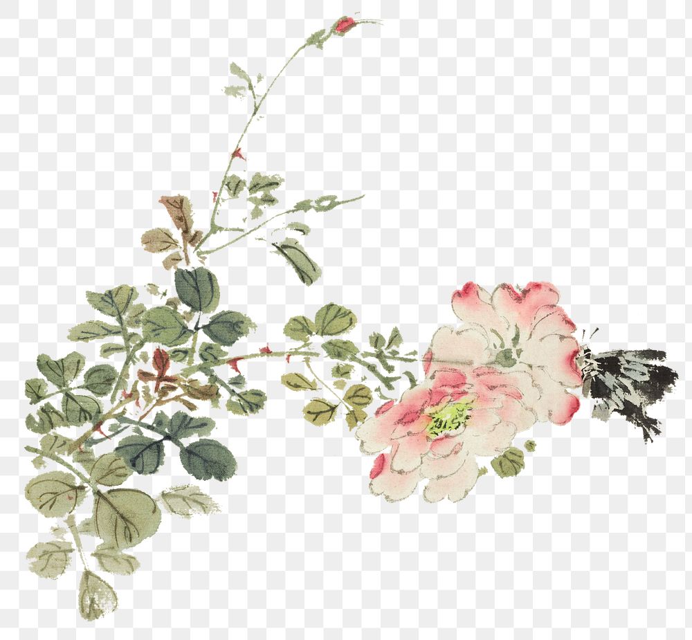 Japanese pink flower png on transparent background.    Remastered by rawpixel. 