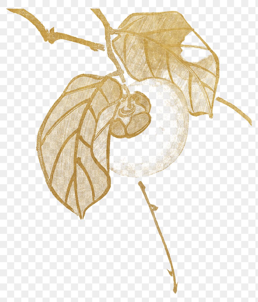 Shunsei's Persimmon fruit png sticker, transparent background. Remixed by rawpixel.