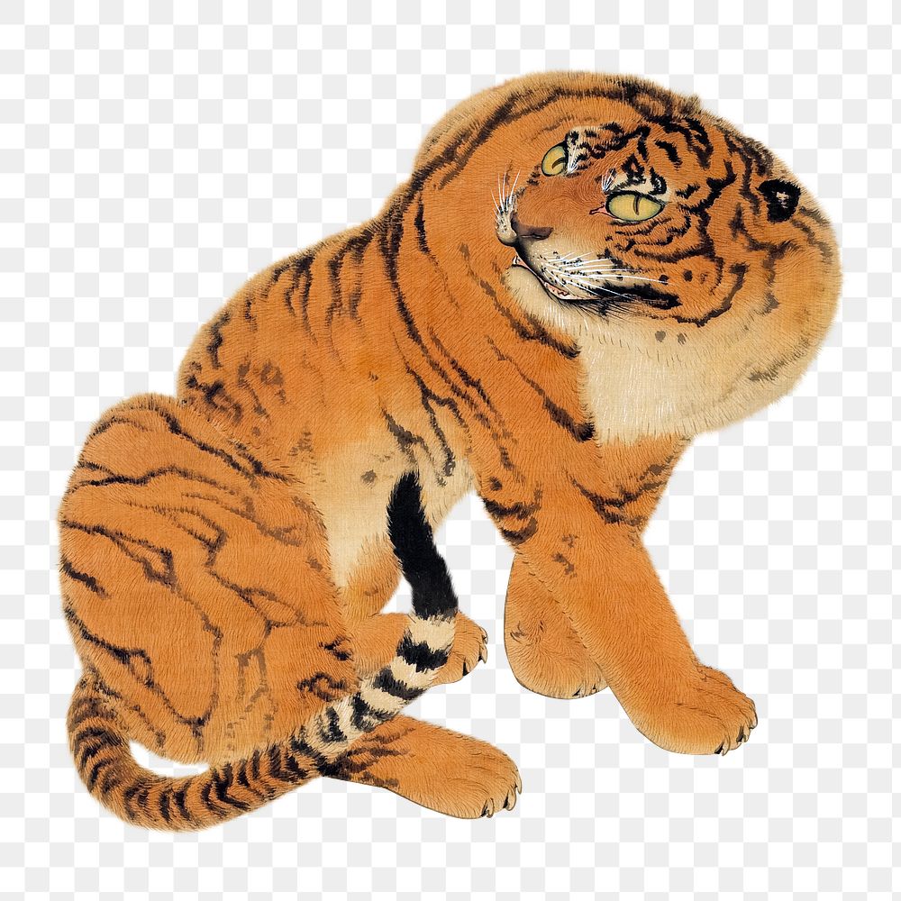 Sitting Tiger png, transparent background. Remastered by rawpixel. 