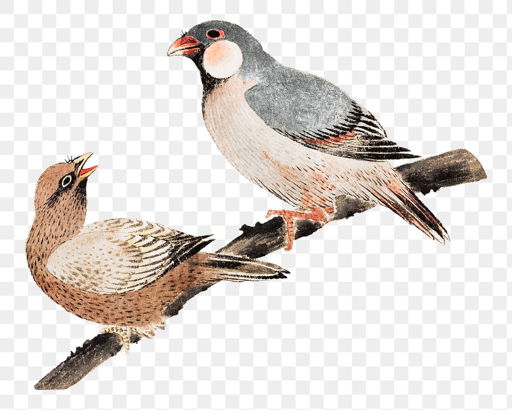 Hokusai's birds png on transparent background.   Remastered by rawpixel. 