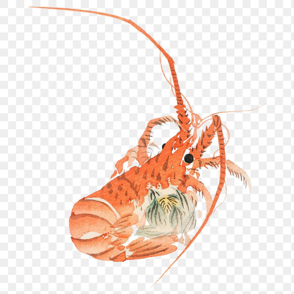 Png Asai Koei's Japanese lobster, transparent background.    Remastered by rawpixel. 