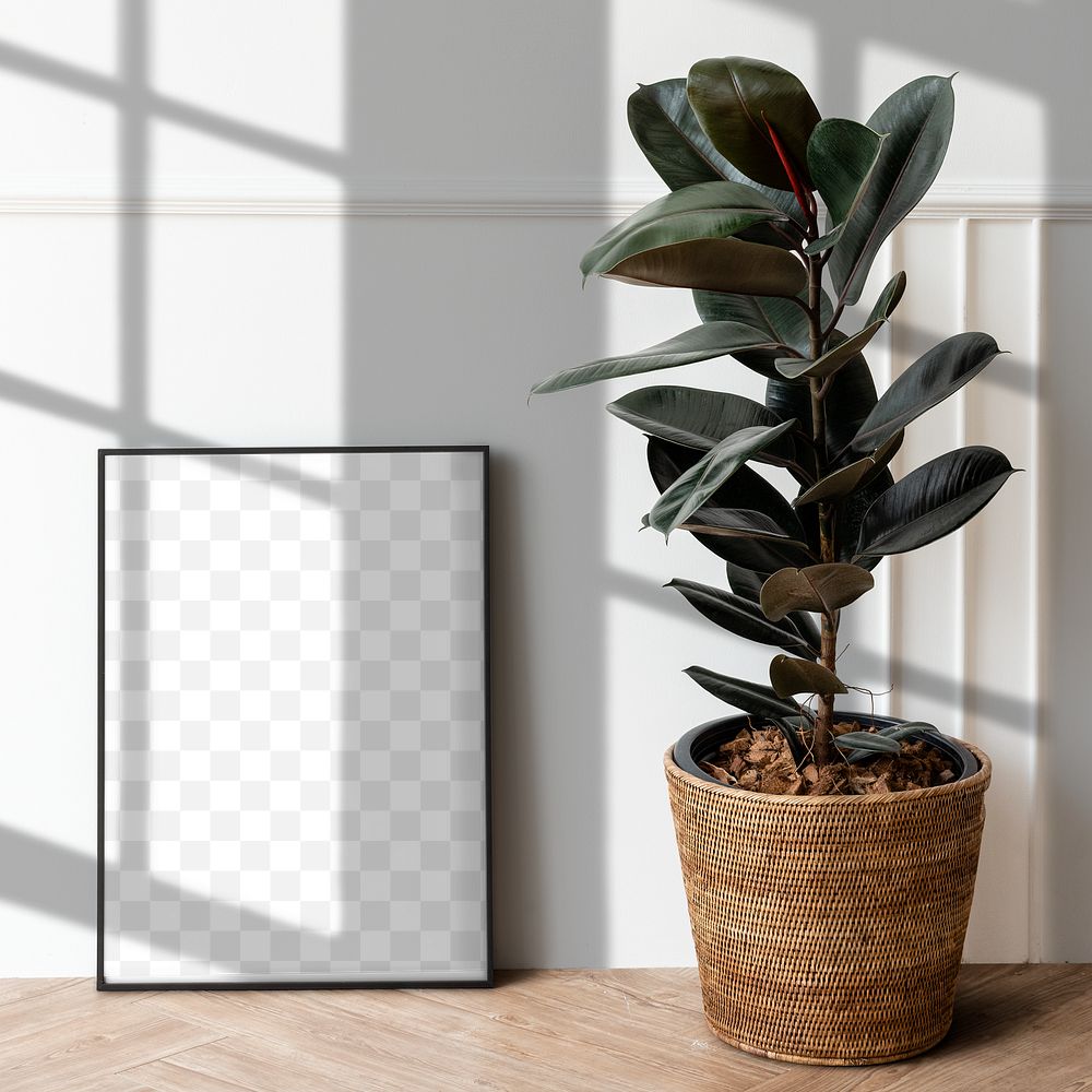 Picture frame png mockup, houseplant decor, transparent design