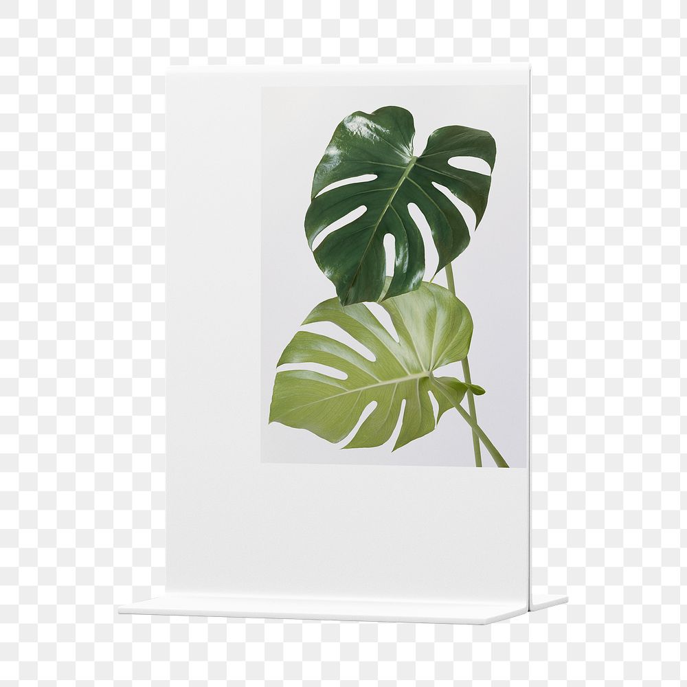 Sign holder png sticker, monstera leaves, transparent background