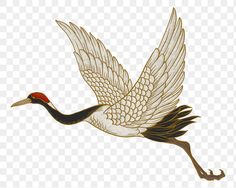 Watanabe Shoka's png crane bird, oriental animal illustration, transparent background