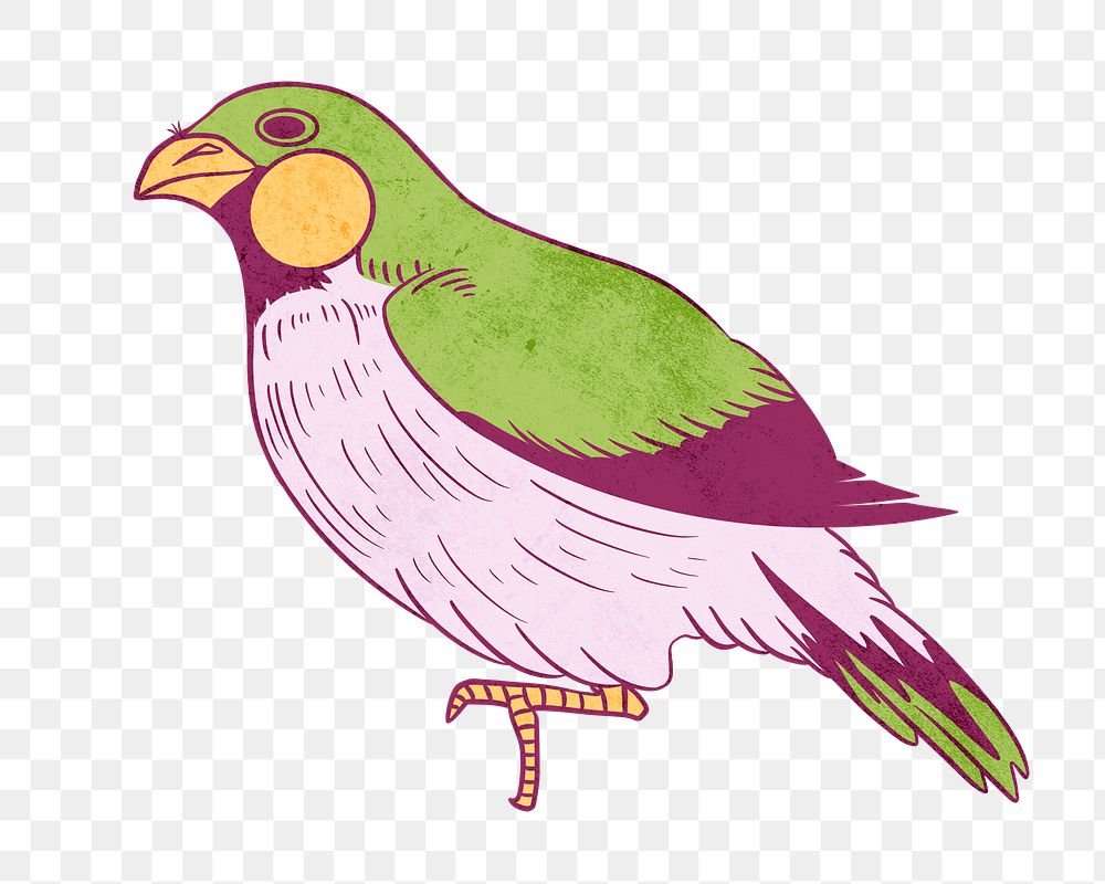 Green bird png, vintage animal illustration, transparent background