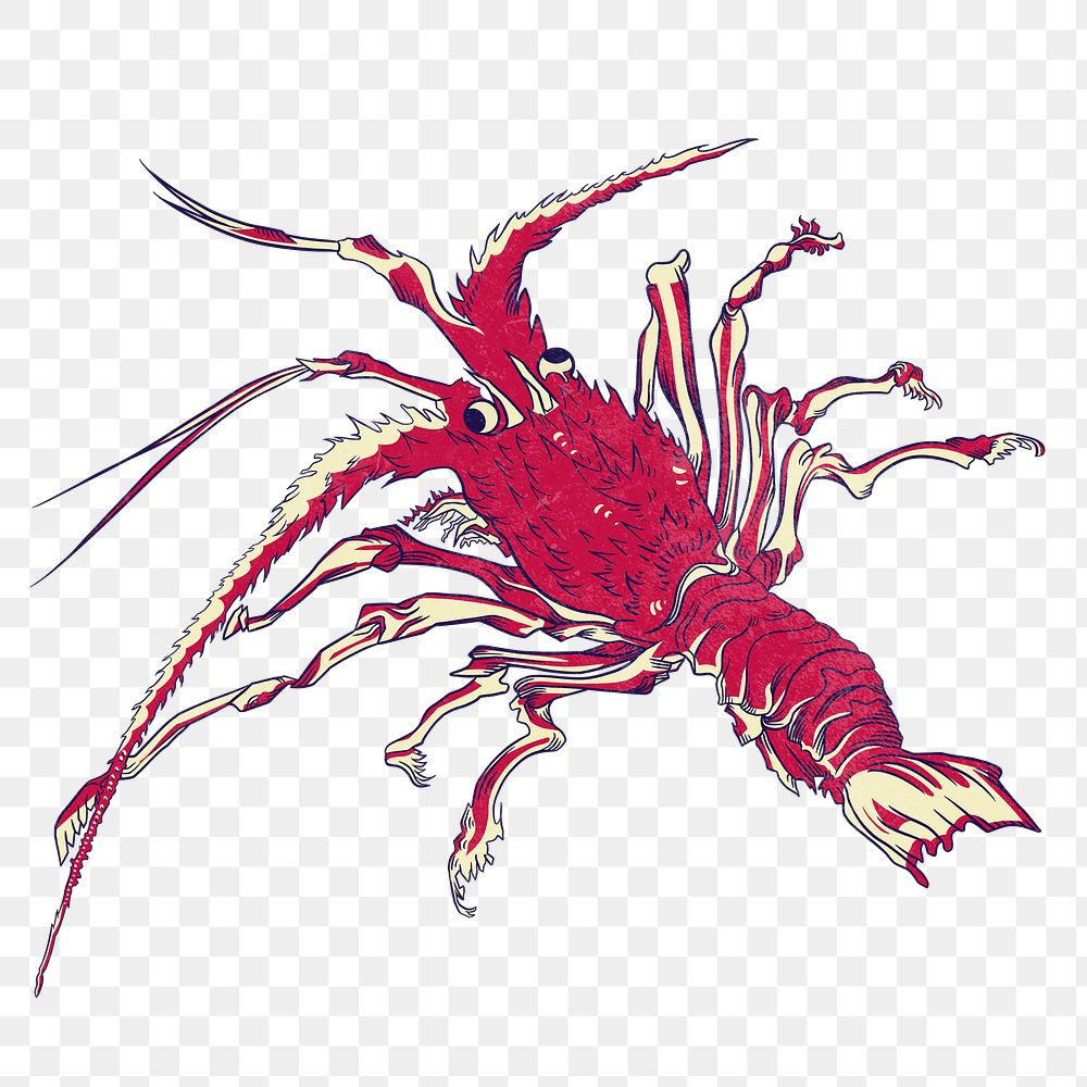Red lobster png sticker, vintage sea animal illustration, transparent background