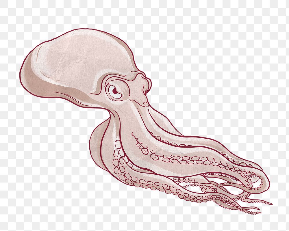 Octopus png sticker, vintage sea animal illustration, transparent background