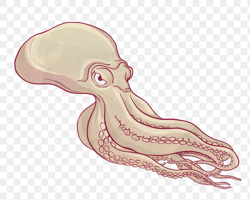 Octopus png sticker, vintage sea animal illustration, transparent background