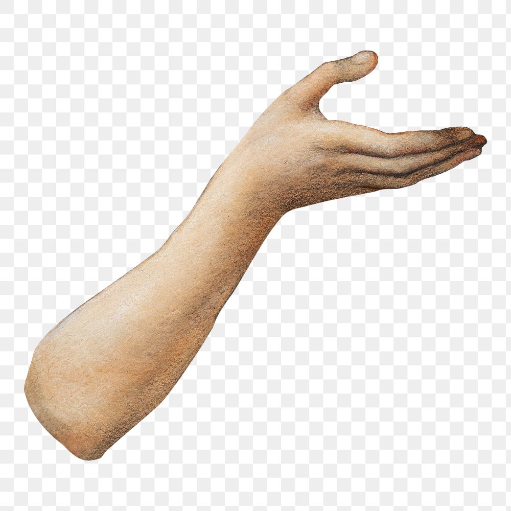 Begging hand png sticker, body gesture image, transparent background