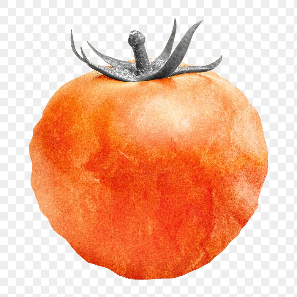 Tomato vegetable png sticker, paper texture image, transparent background