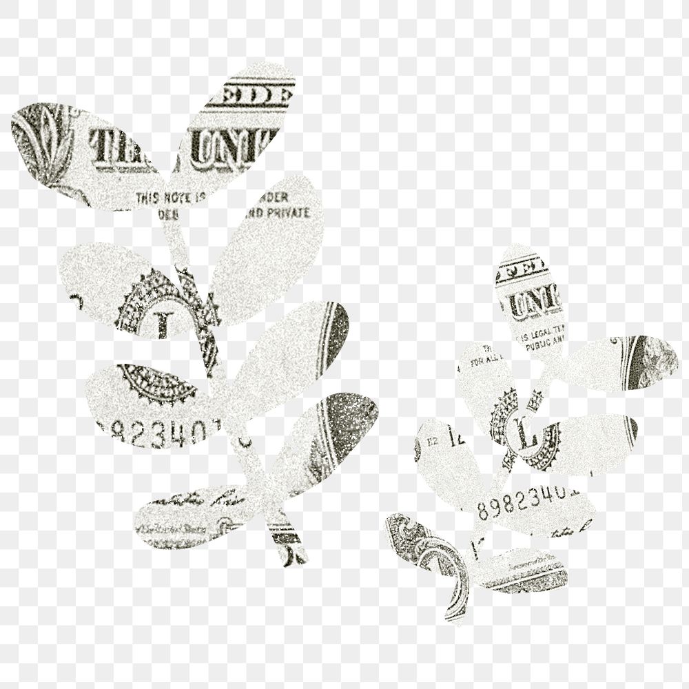 Money leaf branch png sticker, transparent background