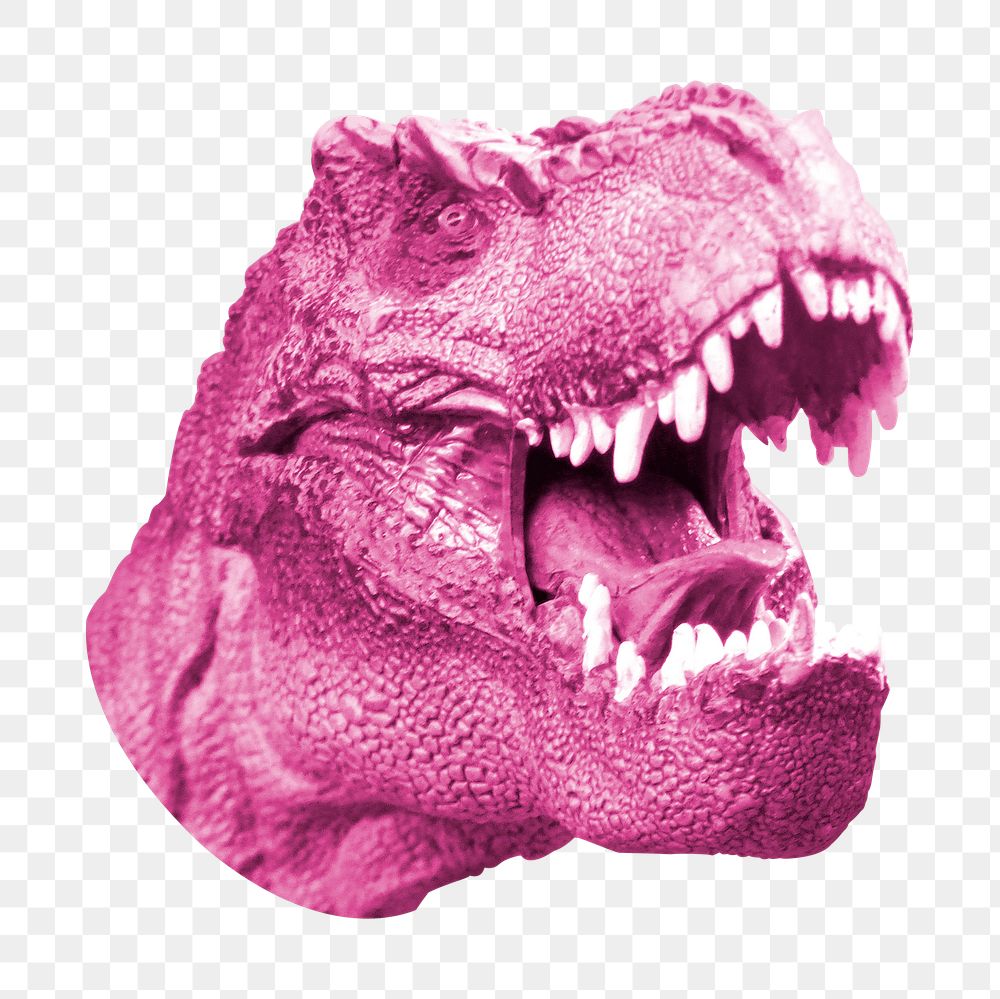 PNG dinosaur head, design elements, transparent background