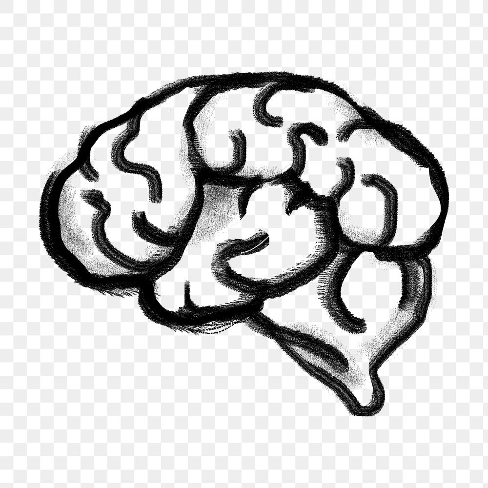 Human brain png sticker, knowledge, education doodle, transparent background