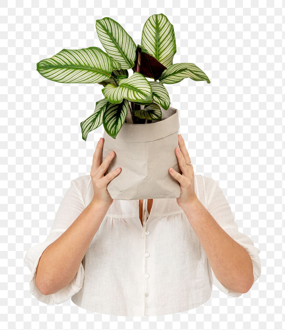 Plant lover png sticker, transparent background