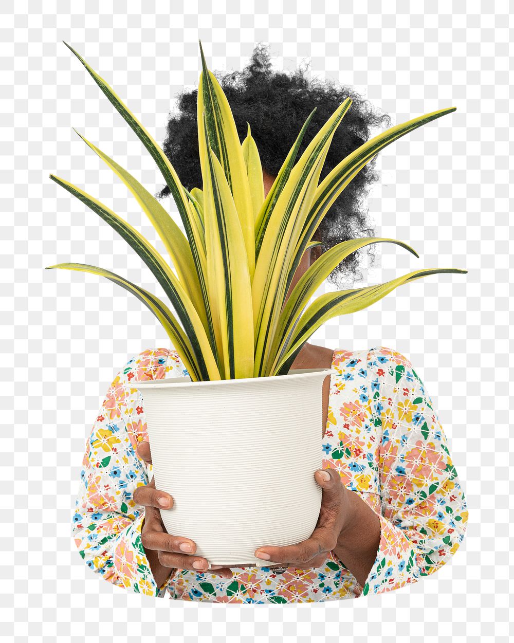 Woman holding plant png sticker, transparent background