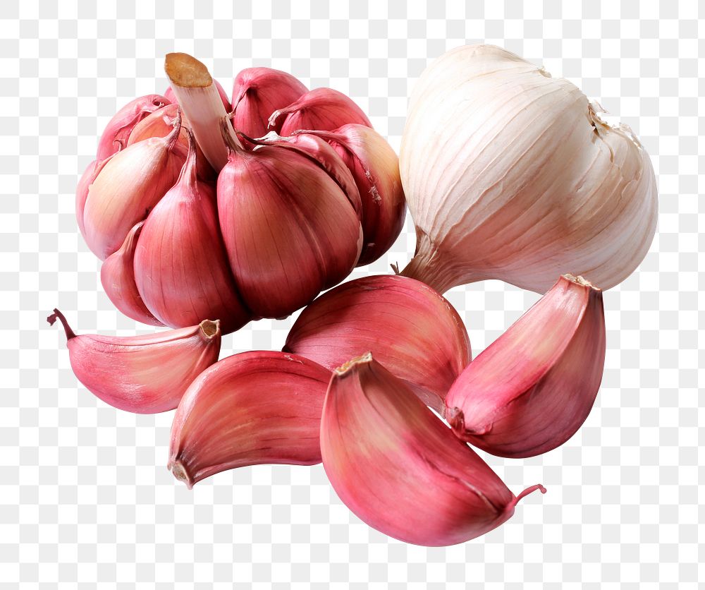 Garlic png sticker, transparent background