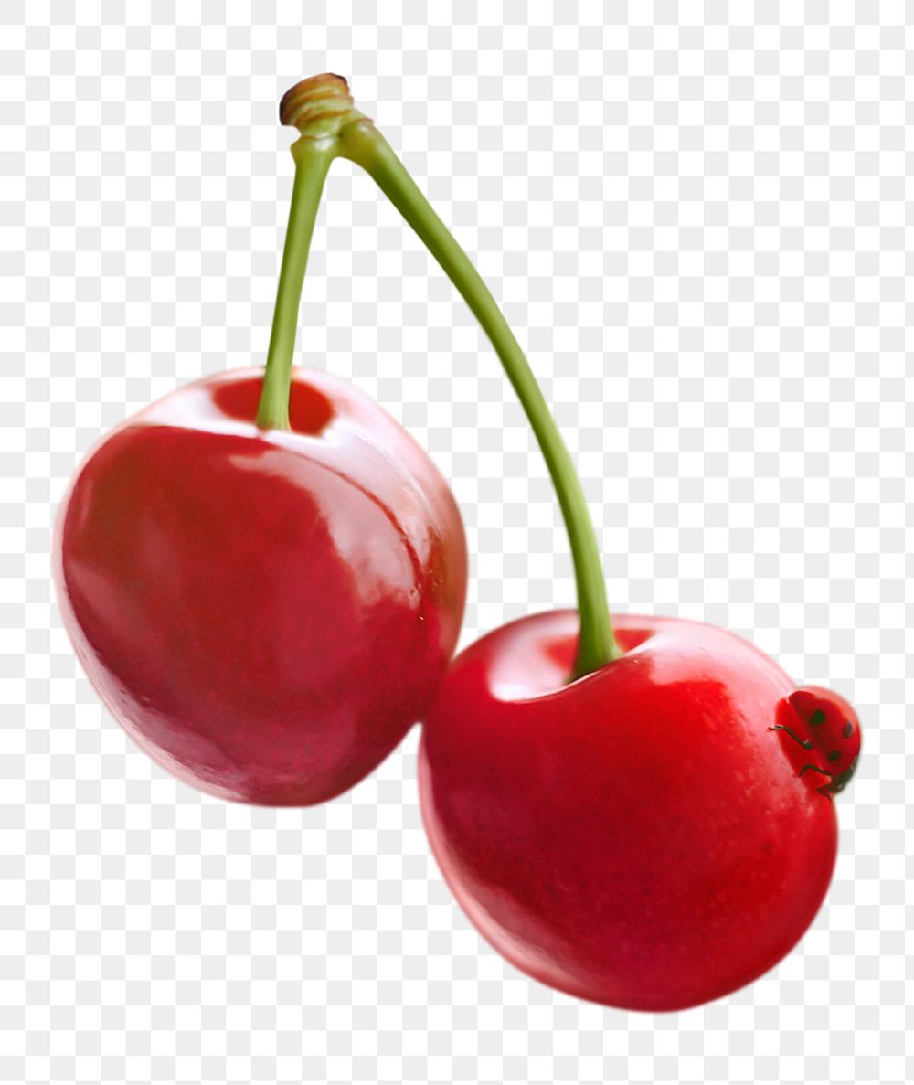 Wild cherry png sticker, transparent background