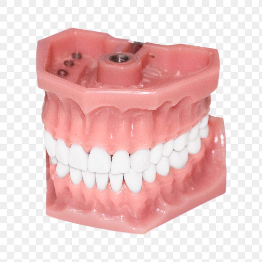 Denture teeth png sticker, transparent background