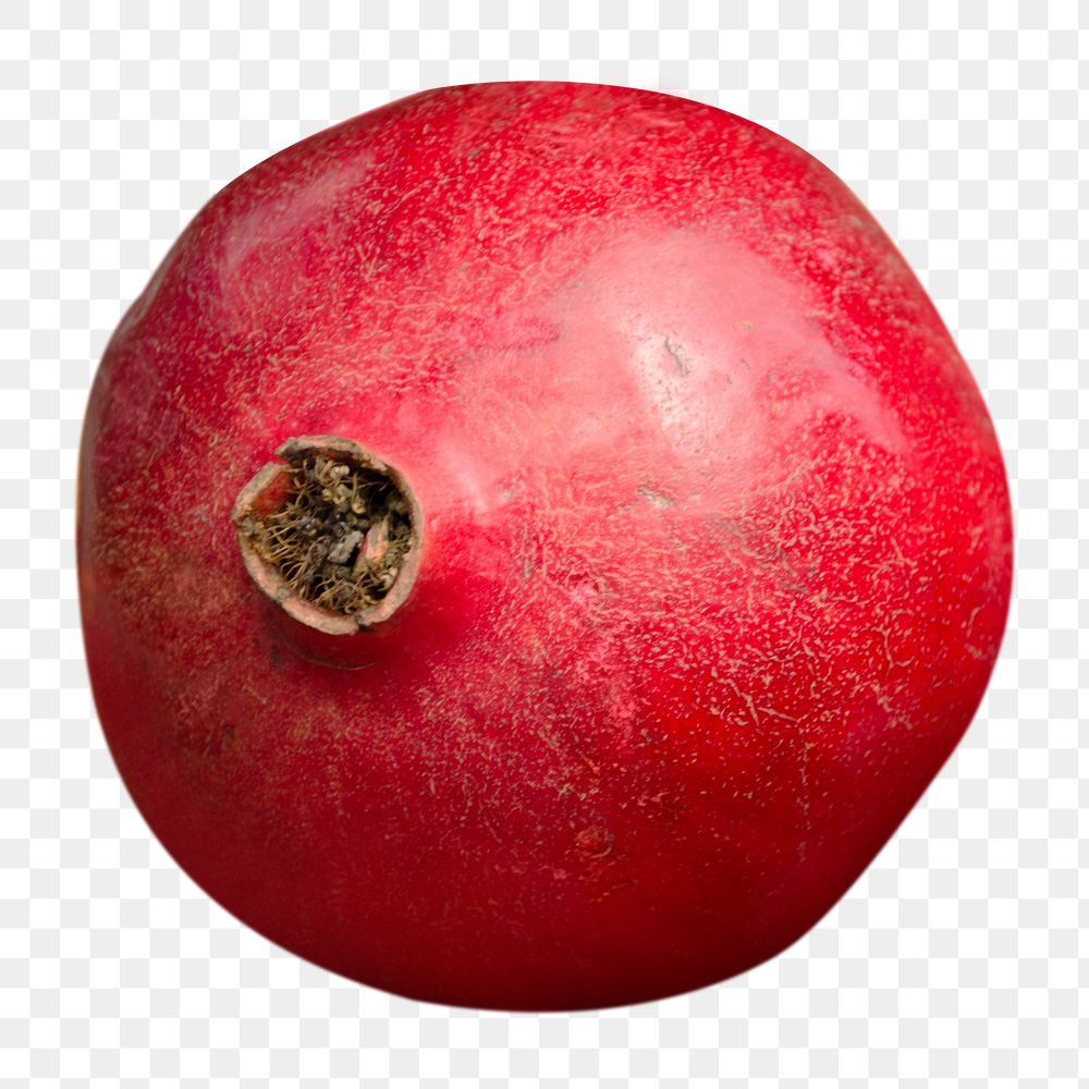 Pomegranate fruit png sticker, transparent background