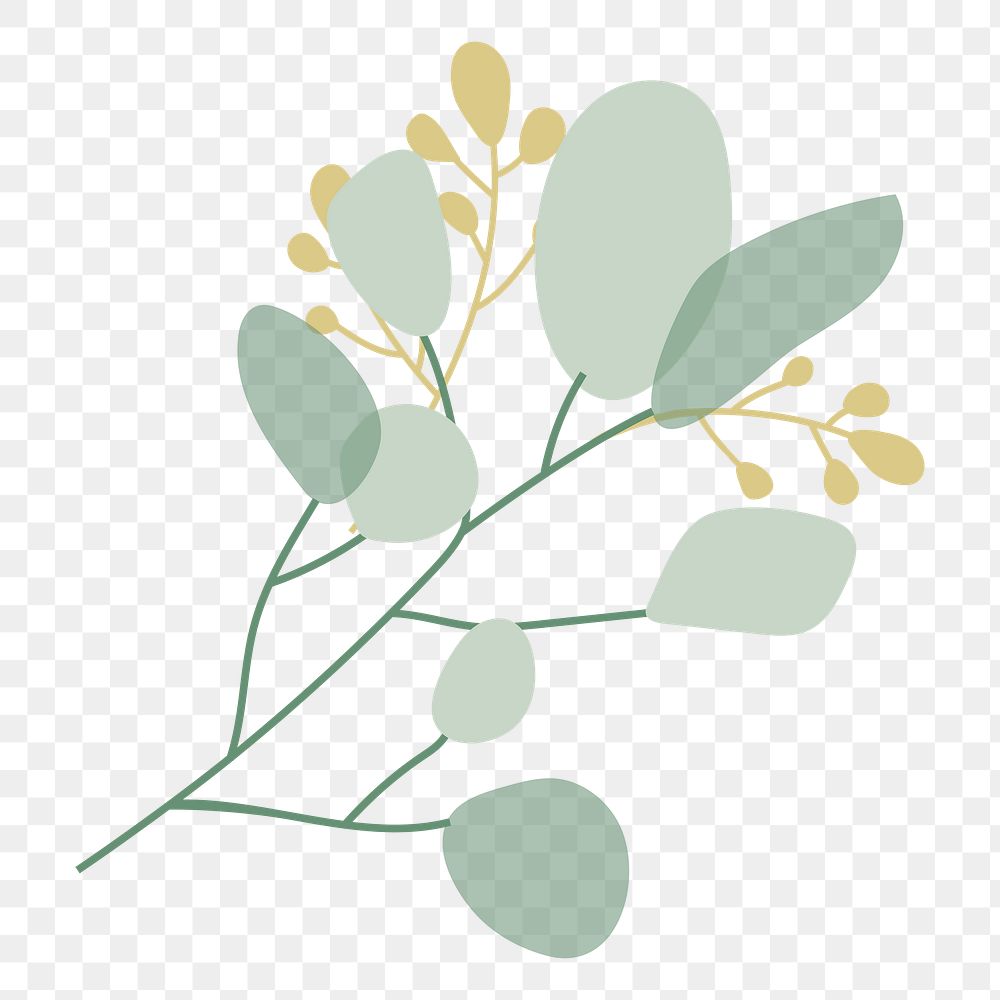 Aesthetic leaf branch png sticker, transparent background