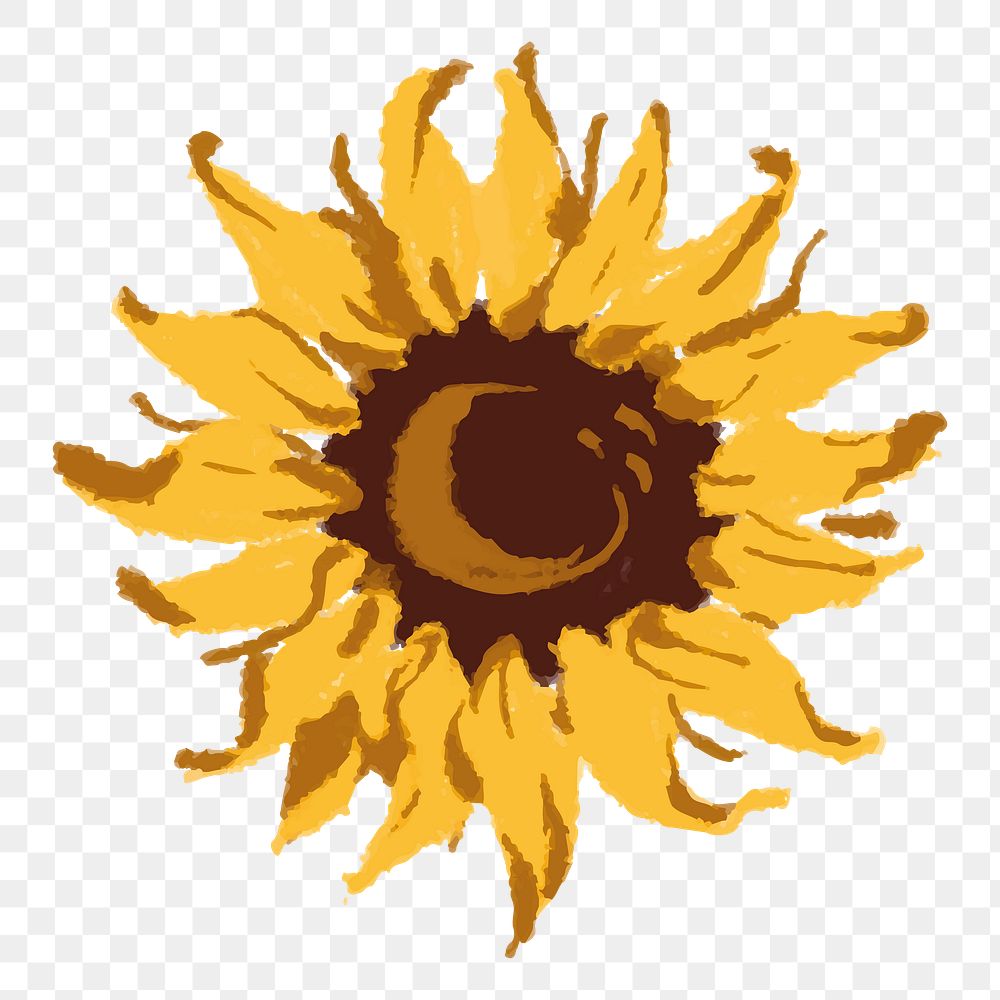 Aesthetic sunflower flower png sticker, transparent background