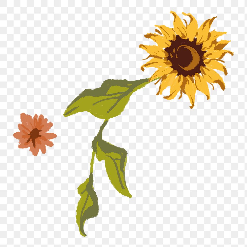 Aesthetic sunflower flower png sticker, transparent background