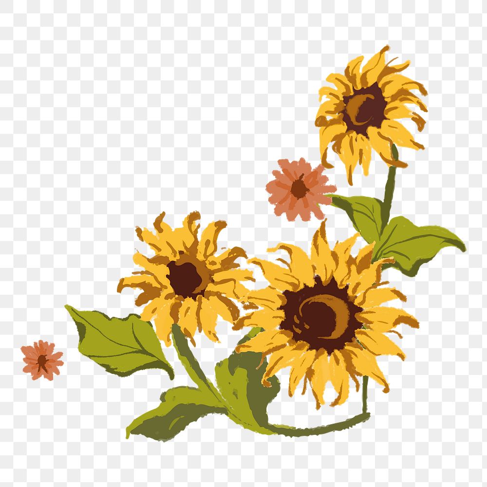 Aesthetic sunflower flower png sticker, transparent background