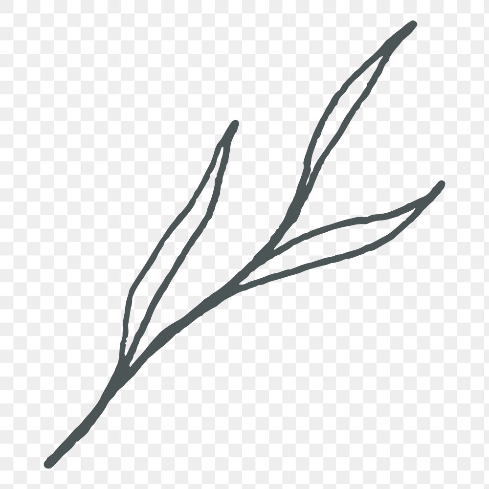 Aesthetic leaf doodle png sticker, transparent background