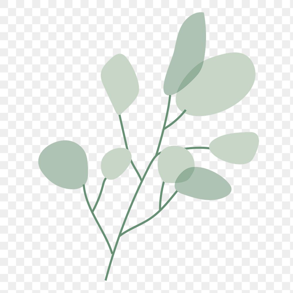 Aesthetic leaf branch png sticker, transparent background