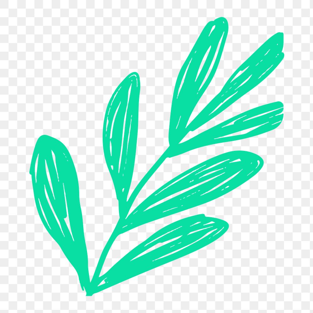 Green leaf png doodle botanical sticker, transparent background