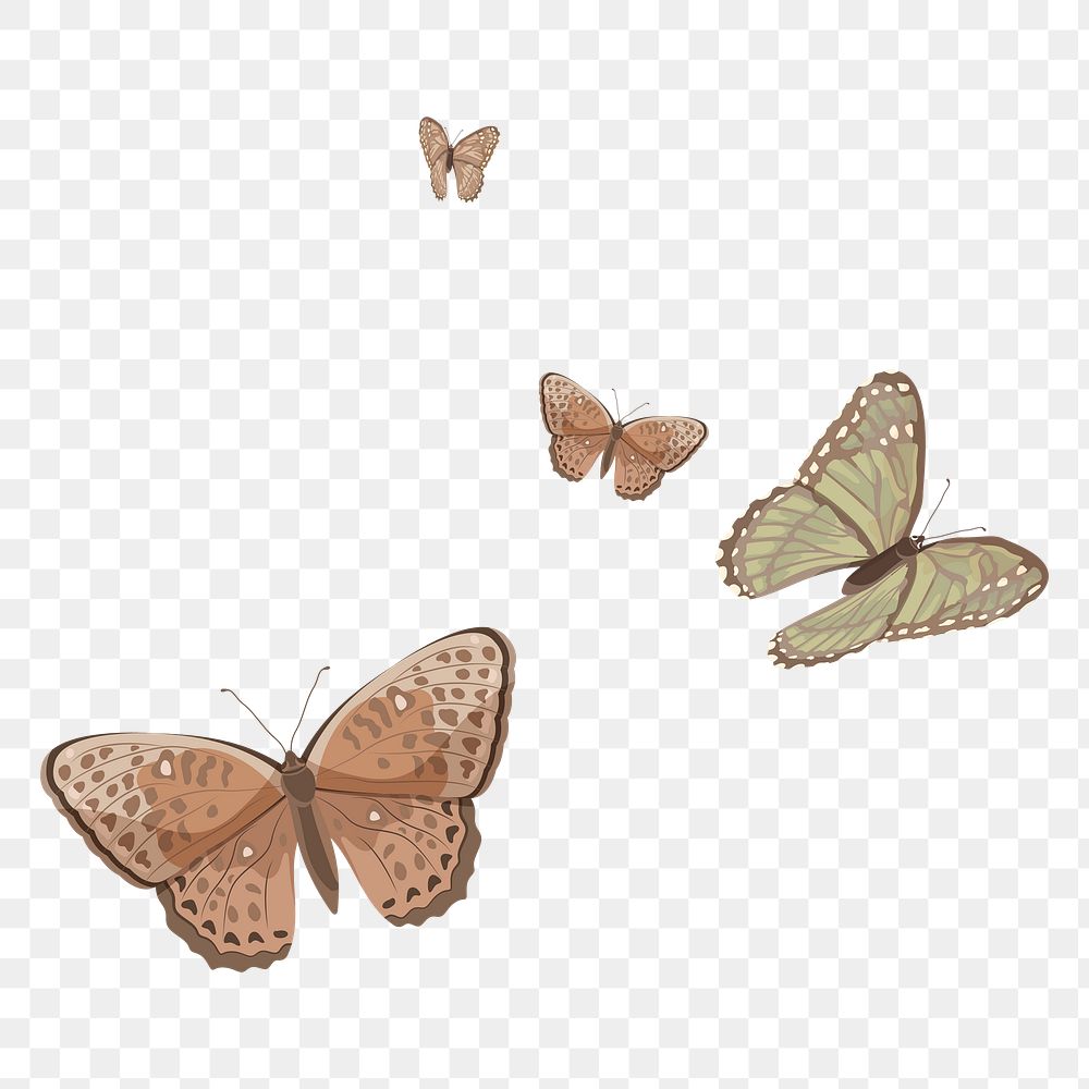 Aesthetic butterfly border png sticker illustration, transparent background