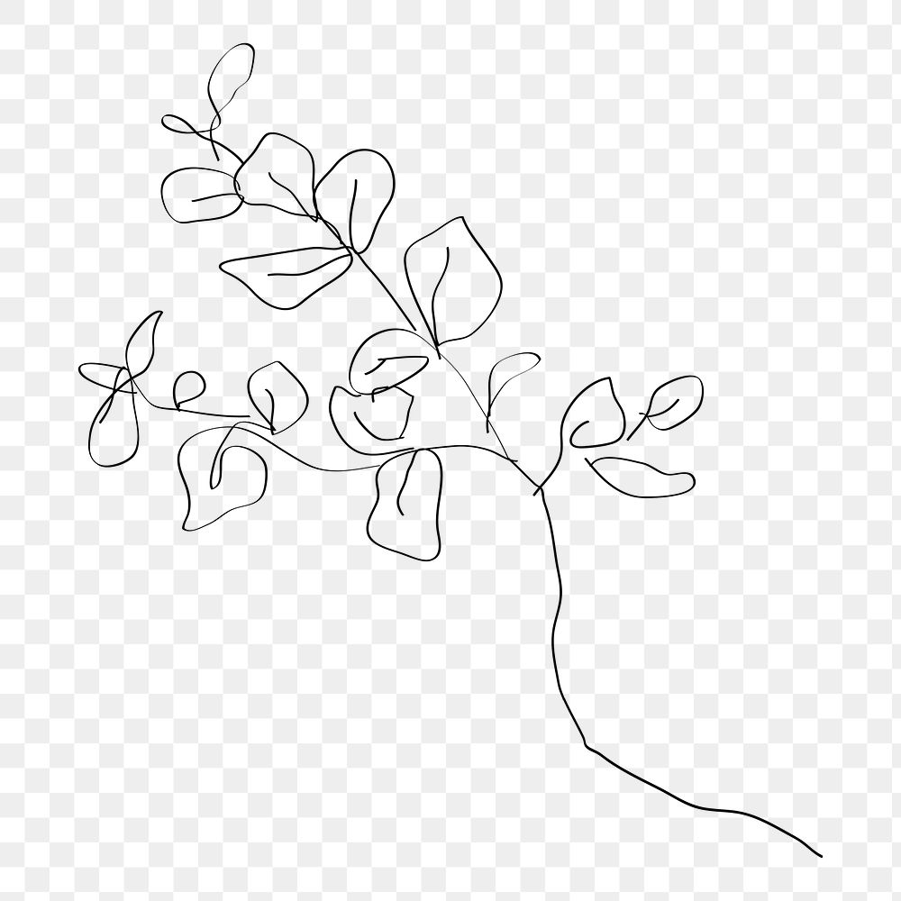 Flower doodle png minimal line art sticker, transparent background